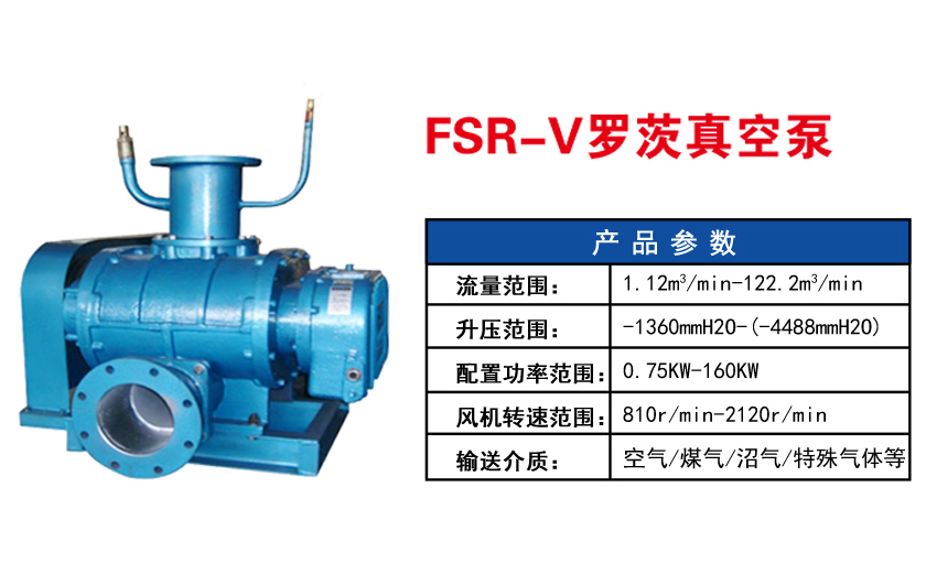 FSR-V罗茨真空泵