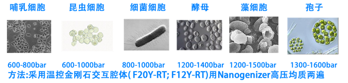 微射流均质机行业应用细胞破碎