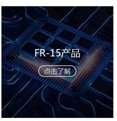 FR-15产品的图片