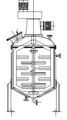 双搅拌刮板式反应罐的图片