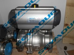 RT2700DA气动执行器的图片